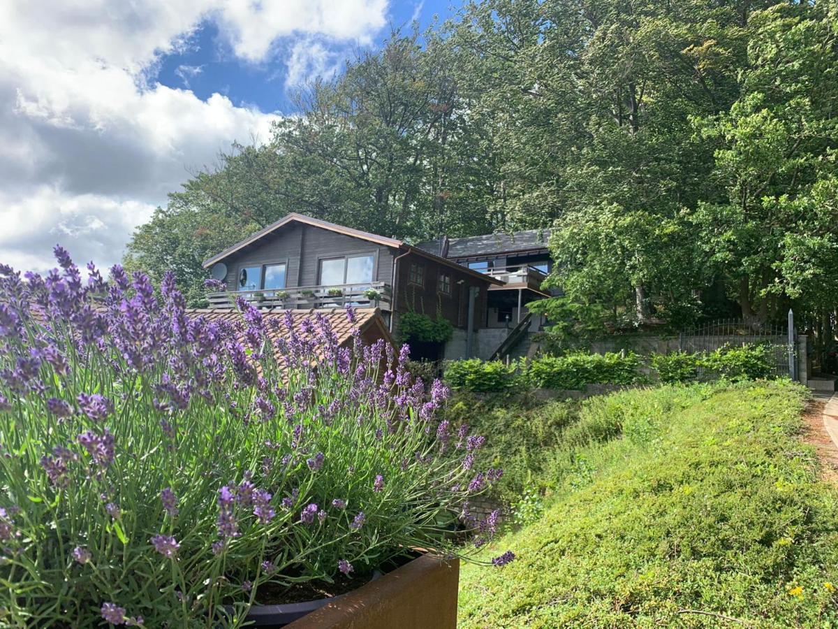 Chalet De La Sabliere Amougies Εξωτερικό φωτογραφία